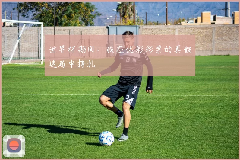 世界杯期间,我在优彩彩票的真假迷局中挣扎