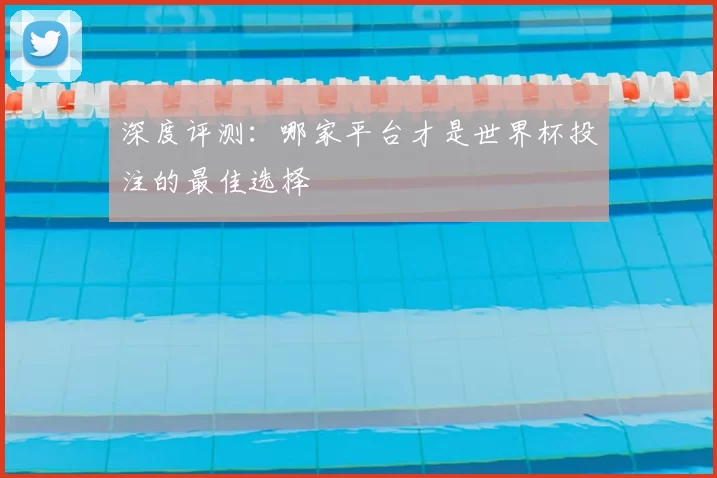 深度评测:哪家平台才是世界杯投注的最佳选择