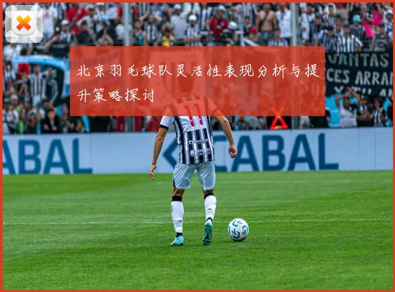 北京羽毛球队灵活性表现分析与提升策略探讨