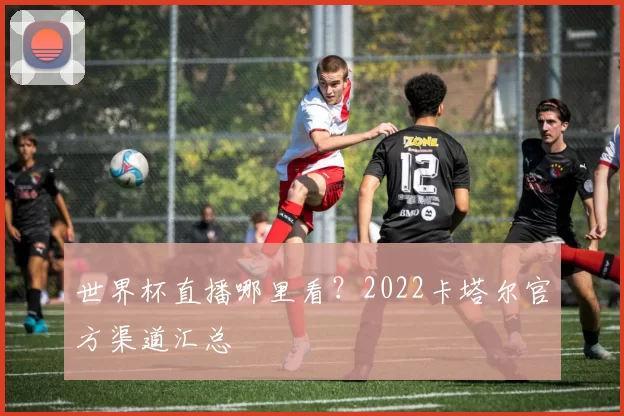 世界杯直播哪里看?2022卡塔尔官方渠道汇总