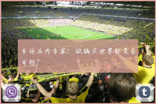专访业内专家:欲钱买世界杯是否可行?