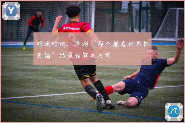 深度对比：寻找“那个能看世界杯直播”的最佳解决方案