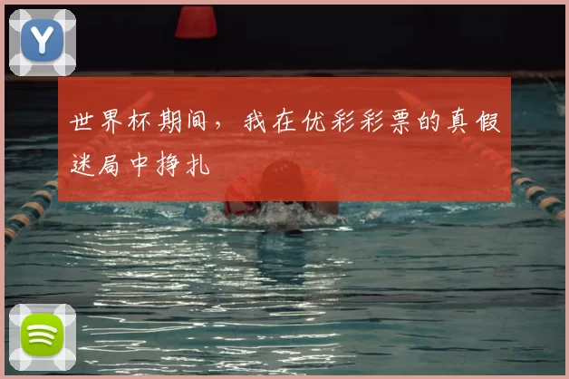 世界杯期间,我在优彩彩票的真假迷局中挣扎