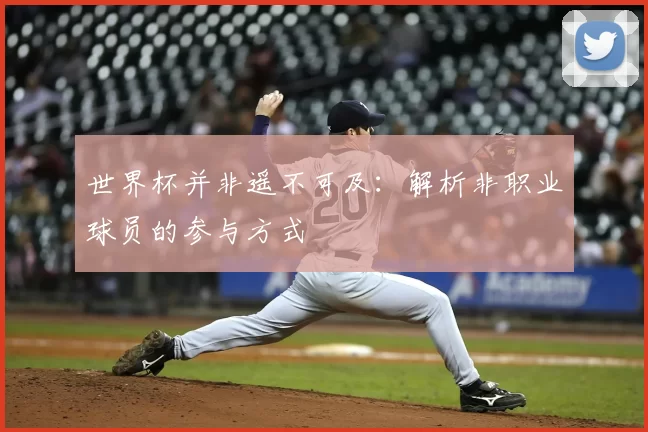 世界杯并非遥不可及：解析非职业球员的参与方式